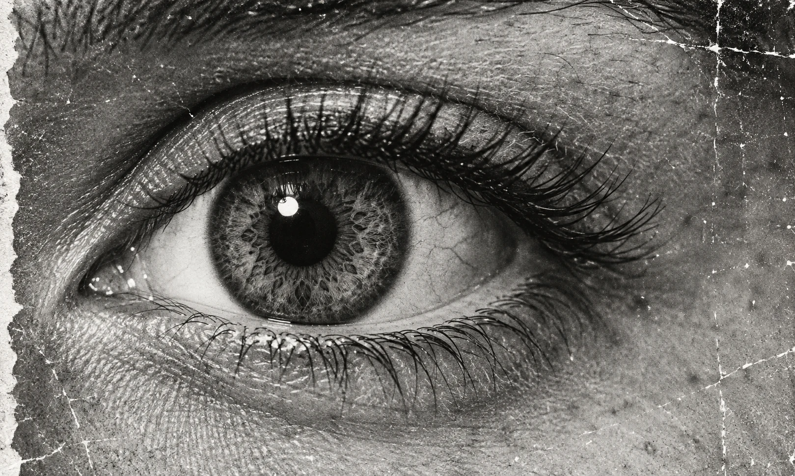 Black and white macro photograph of a human eye with long lashes